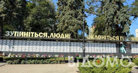 В Павлограде начали "исчезать" старые елки: что известно (ВИДЕО)