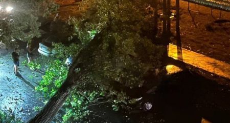 В Днепре ветер валил остановки, отрывал знаки и сносил столбы (ФОТО, ВИДЕО)