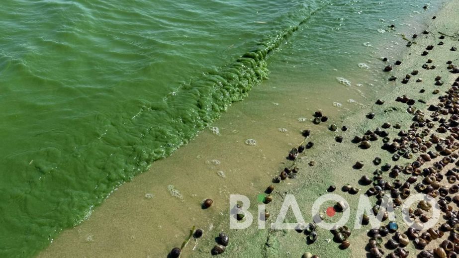 На Криворіжжі з річки дістали тіло чоловіка: жінка яка була з ним досі не знайдена (ФОТО, ВІДЕО)
