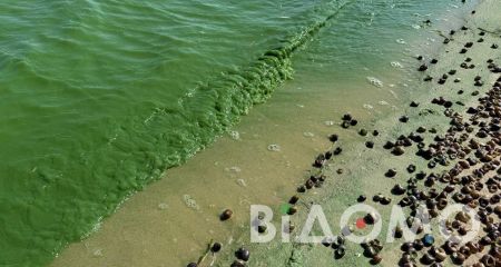 В Днепре как будто кто-то покрасил воду (ФОТО, ВИДЕО)