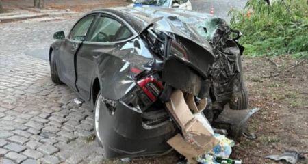 Tesla протаранила дерево в центре Днепра (ФОТО)