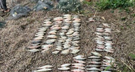 На Каменском водохранилище браконьер наловил рыбы более чем на 300 тысяч гривен (ФОТО)