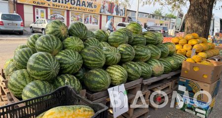 Ціни на фрукти у Павлограді знов впали (ФОТО, ВІДЕО)