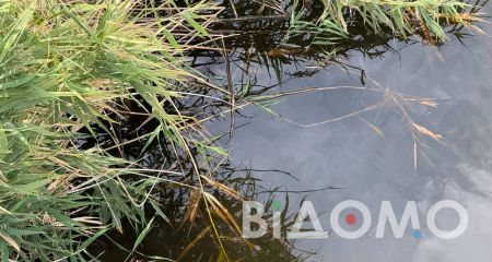 Річку Вовчу у Павлограді перевірили на небезпечні речовини: що виявили (ФОТ)
