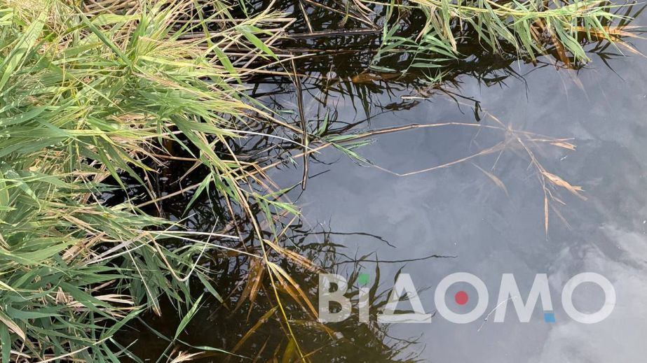 Реку Волчью в Павлограде проверили на опасные вещества: что обнаружили (ФОТО)