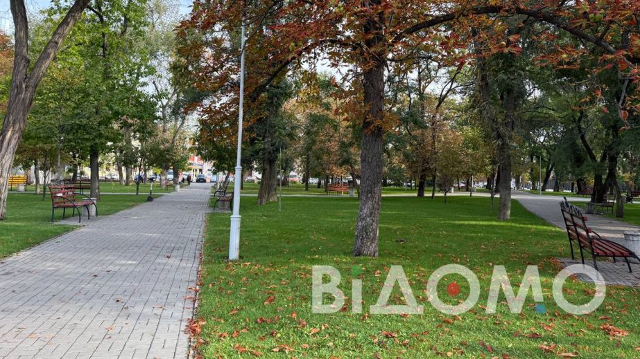 Как выглядит осенний Павлоград: листья падают, работы у коммунальщиков становится больше (ФОТО, ВИДЕО)