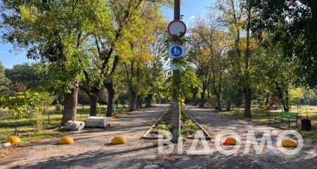 У Павлограді, в одному з парків з'явились туї (ФОТО, ВІДЕО)