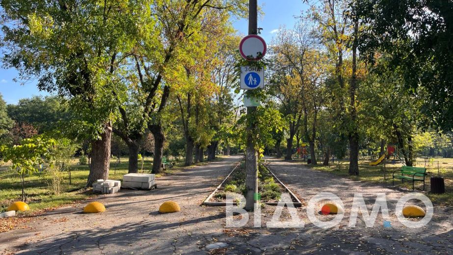 У Павлограді, в одному з парків з'явились туї (ФОТО, ВІДЕО)
