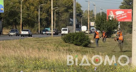 В Павлограде нашли гранату во время скашивания травы (ФОТО, ВИДЕО)