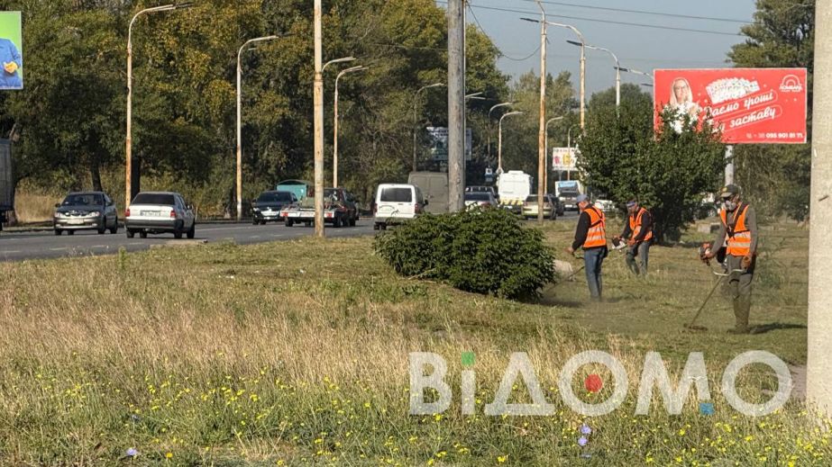 В Павлограде нашли гранату во время скашивания травы (ФОТО, ВИДЕО)