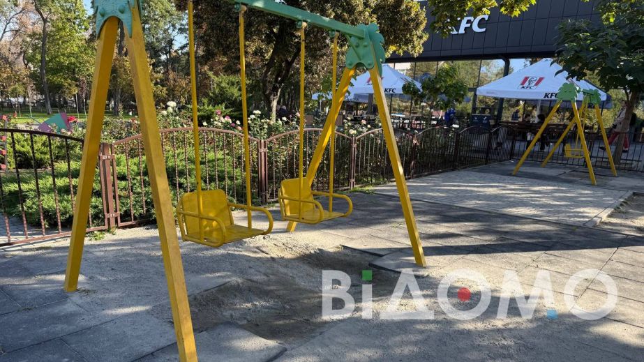 В центре Павлограда детскую площадку превратили в "школу" вандализма (ФОТО, ВИДЕО)