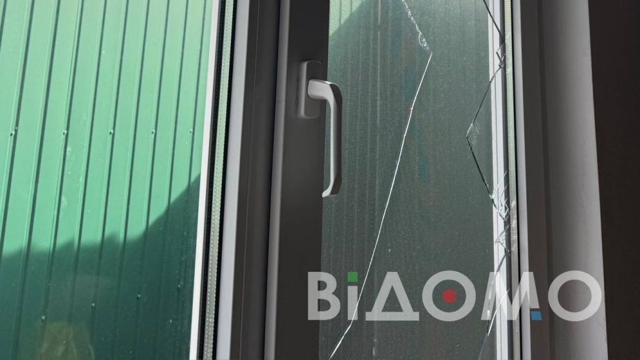 Испуганные и беззащитные: в Павлограде во время обстрела пострадал приют для животных (ФОТО, ВИДЕО)