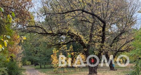 Мінлива хмарність та туман: якою буде погода у Дніпрі та області 23 листопада