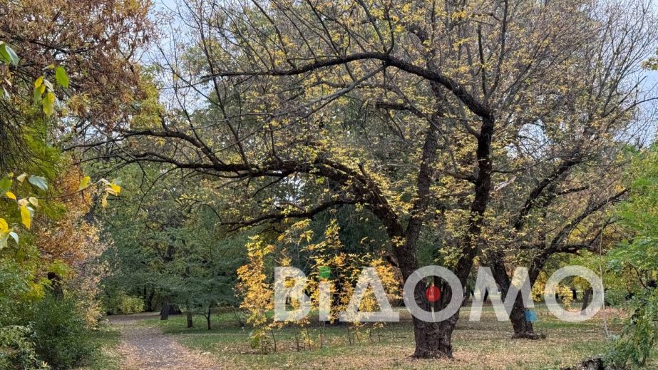 Де у Павлограді безпечніше гуляти — у сквері Шевченка чи в парку Першого травня (ФОТО, ВІДЕО)