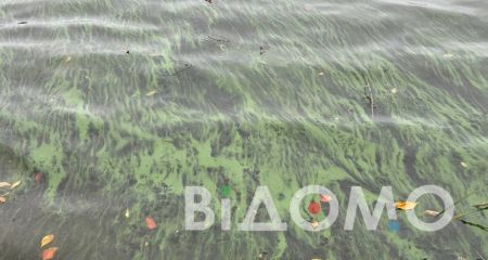 МОЗ б&rsquo;є на сполох через стан водойм на Дніпропетровщині