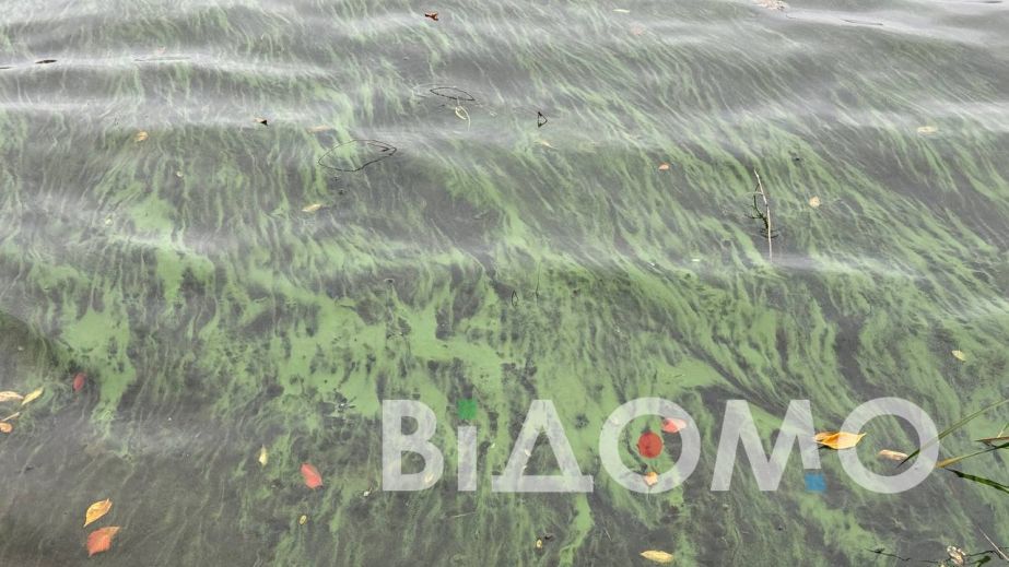 Минздрав бьет тревогу из-за состояния водоемов на Днепропетровщине