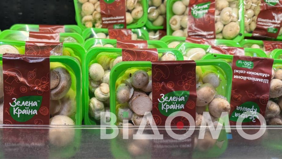 Які гриби продають у Павлограді, та скільки вони коштують (ФОТО)