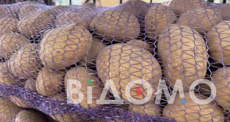 У Павлограді стрімко падають ціни на картоплю (ФОТО)