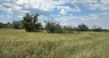 В Днепропетровской области выявили незаконное использование более 37 га земли (ФОТО)