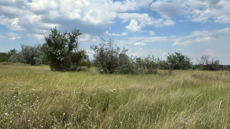 На Дніпропетровщині виявили незаконне використання понад 37 га землі (ФОТО)