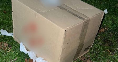 У Кривому Розі чоловік отримував через поштомат наркотики для збуту (ФОТО)