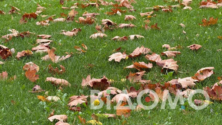 Якою буде погода у Дніпрі і області 29 листопада