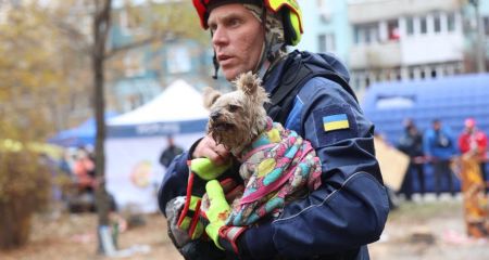 Под завалами в Днепре спасли маленькую собаку: хозяйка в больнице после ночного обстрела (ВИДЕО)