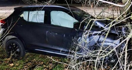 В Днепропетровской области внедорожник врезался в дерево: пострадали женщина и 15-летний сын