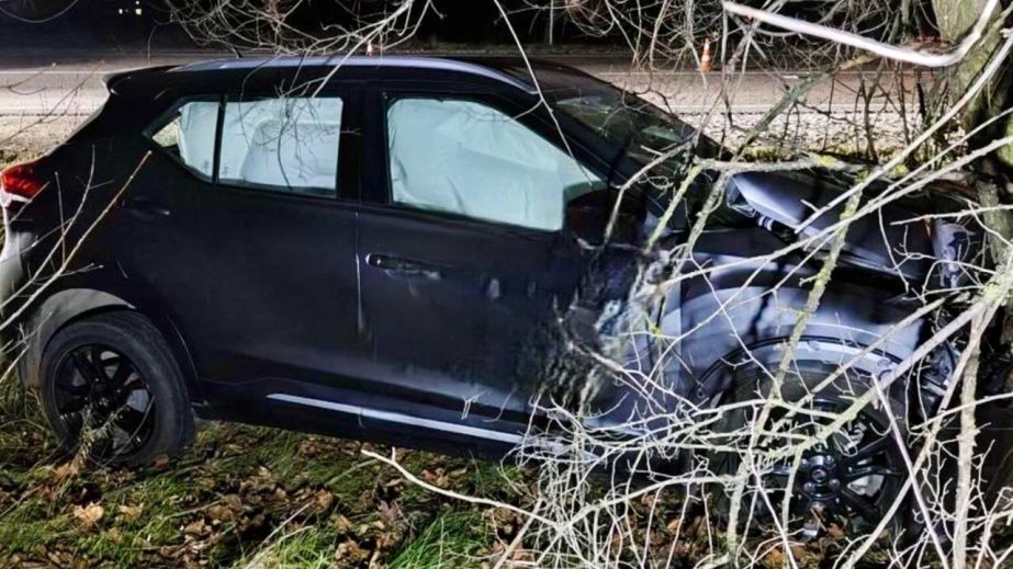 В Днепропетровской области внедорожник врезался в дерево: пострадали женщина и 15-летний сын