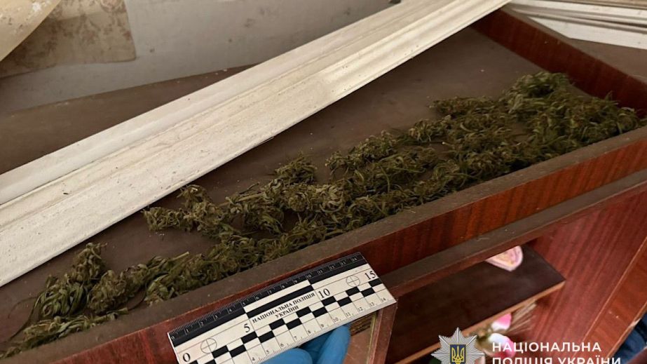 Более сотни пакетов каннабиса: на Днепропетровщине разоблачили наркоубежище (ФОТО)