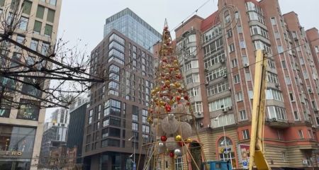В Днепре на Кельнском бульваре устанавливают новогоднюю елку: что известно (ФОТО)