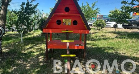 Як у Кривому Розі містяни рятували кошеня, яке залізло на дерево (ФОТО)