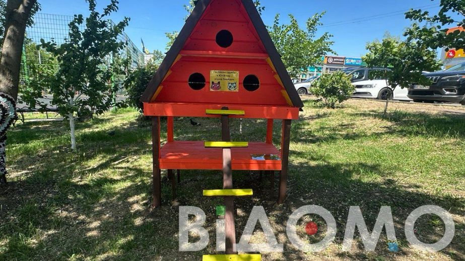 Как в Кривом Роге горожане спасали котенка, залезшего на дерево (ФОТО)