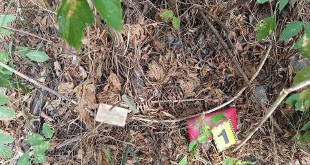 У Дніпрі розбійник пограбував пенсіонерку серед білого дня (ФОТО)