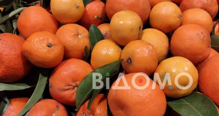 Мандариновий сезон: що з цінами перед святами у Дніпрі (ФОТО)