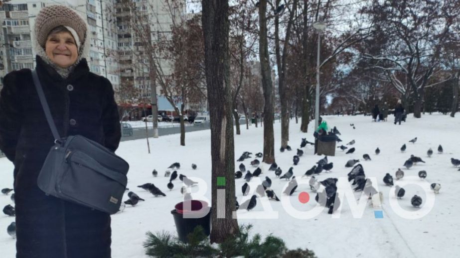 У Дніпрі пенсіонерка влаштувала розпродаж ялинкових "букетів" (ФОТО)