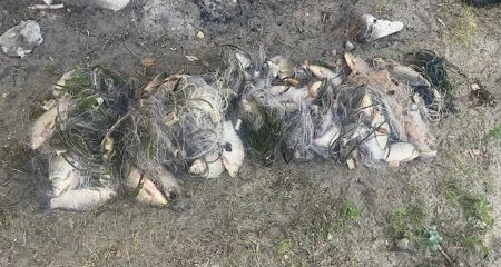 Сетки, резиновая лодка и рыба более чем на 100 тысяч: на Днепропетровщине будут судить браконьера