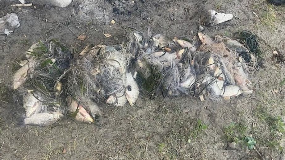 Сетки, резиновая лодка и рыба более чем на 100 тысяч: на Днепропетровщине будут судить браконьера