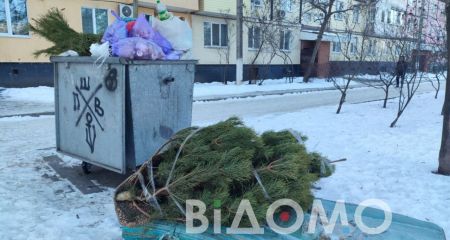 Вторая жизнь елки: д...