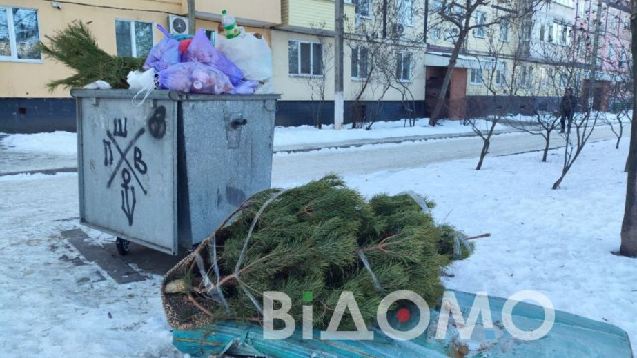 Друге життя ялинки: дніпрянам розповіли, де краще залишити новорічне дерево