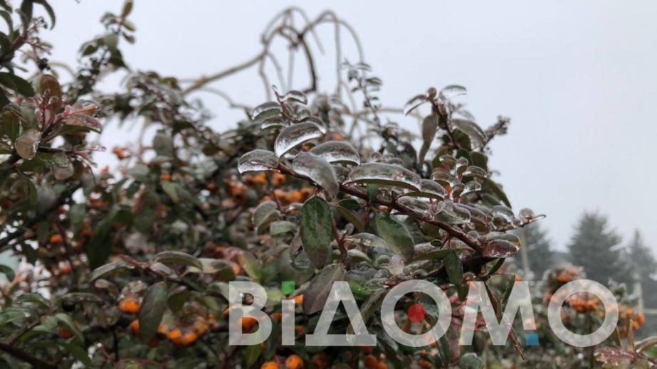 Гололед и дождь с мокрым снегом: какой будет погода в Днепре и области 8 февраля