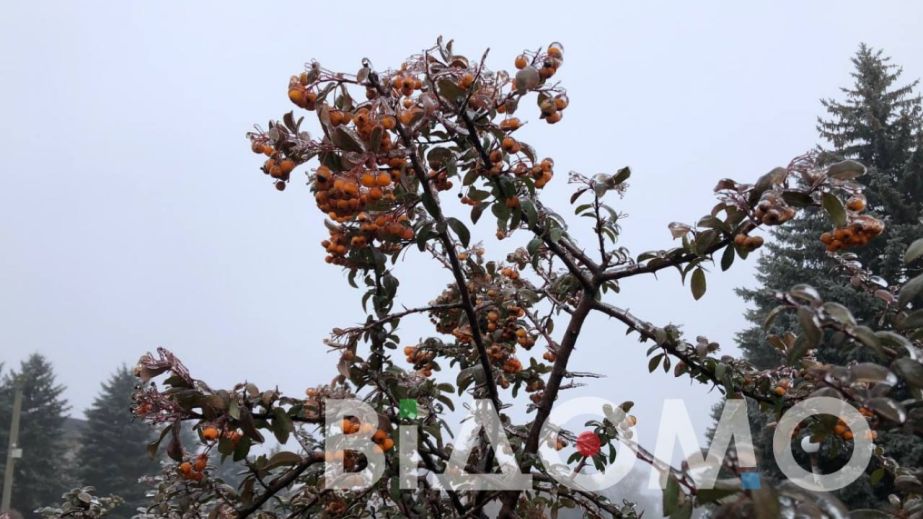 Какой будет погода в Днепре и области 10 февраля