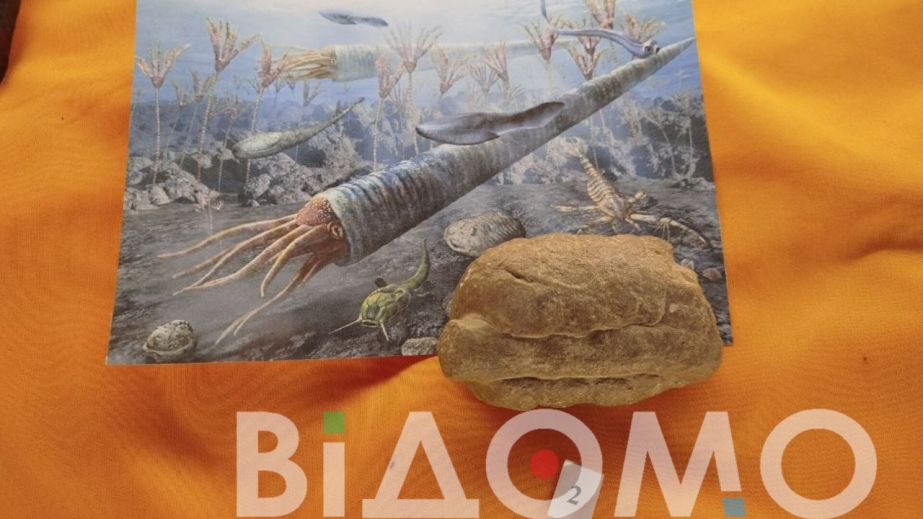 В музее Днепра открыли уникальную экспозицию вымерших организмов, существовавших миллионы лет назад (ФОТО)