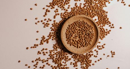 Гречка может подорожать и исчезать с полок: эксперты предупреждают о дефиците