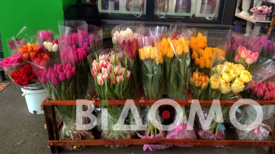 Свято відходить, але квіти будуть: чи збираються дніпряни відзначати жіночий день та чи не збанкрутують на квітах цього року