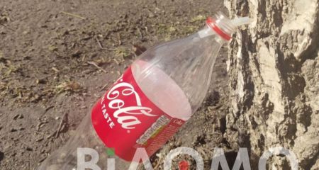 Трубочка у стовбурі ...