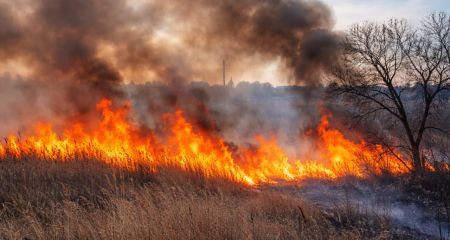 У Дніпрі та передмісті фіксують займання сухостою:  через теплу та суху погоду знову пожежі в екосистемах