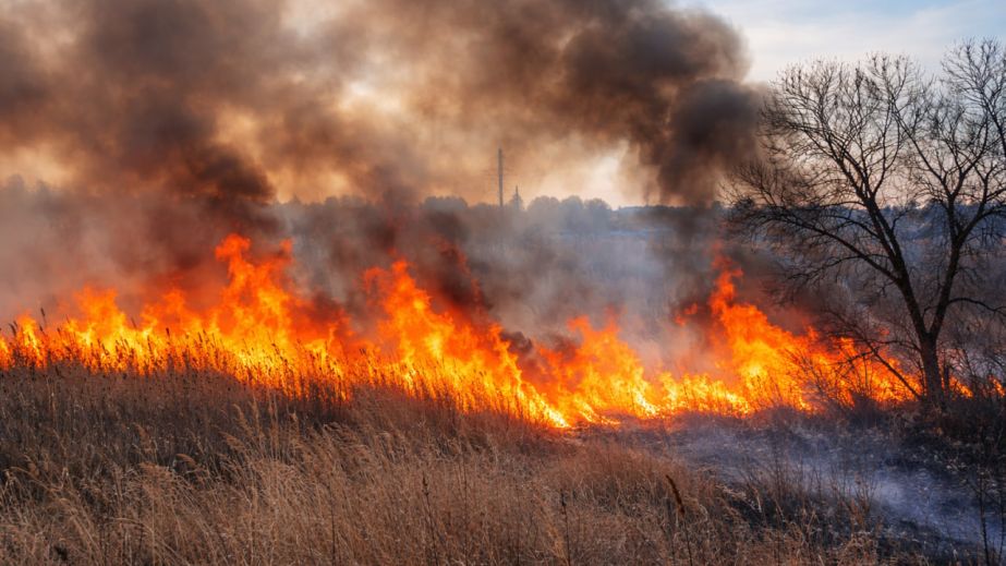 У Дніпрі та передмісті фіксують займання сухостою:  через теплу та суху погоду знову пожежі в екосистемах