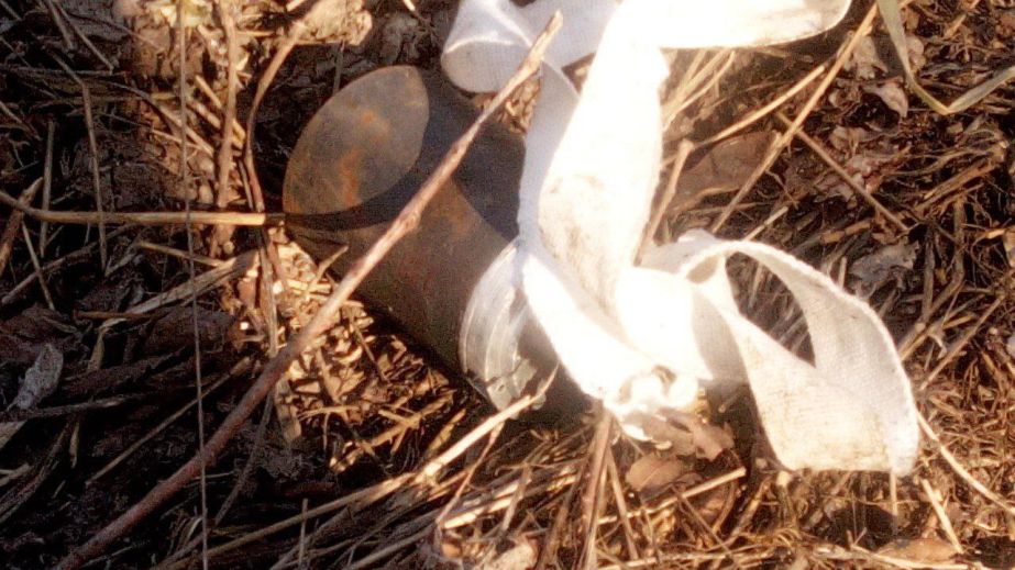 Опасность под ногами: на Днепропетровщине враг усеял общину боеприпасами (ФОТО)