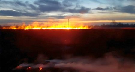 В Песчанке за сутки ...